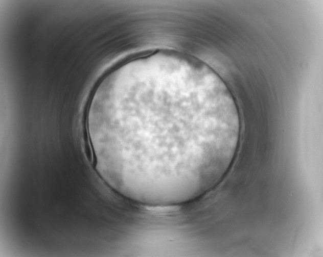 X0000088391200200706051112