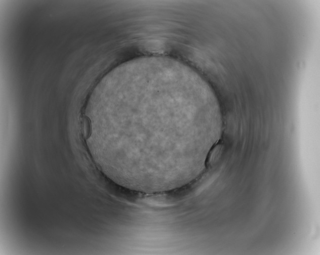 X0000088391201200706051111