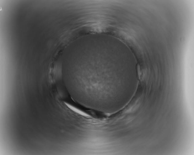 X0000088391202200706051111