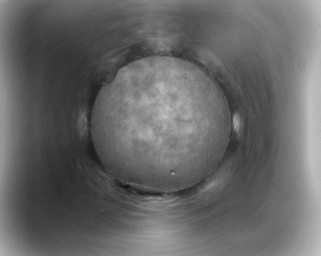 X0000088391203200706051111