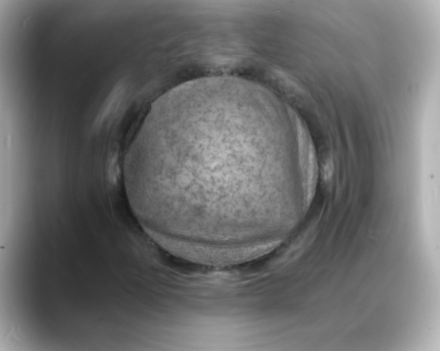 X0000088391204200706051111