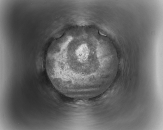 X0000088391205200706051111