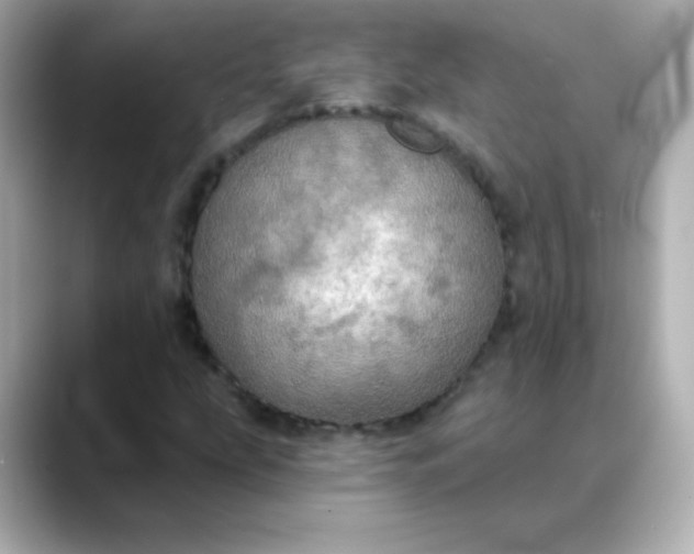 X0000088391207200706051111