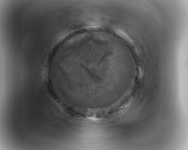 X0000088391208200706051111