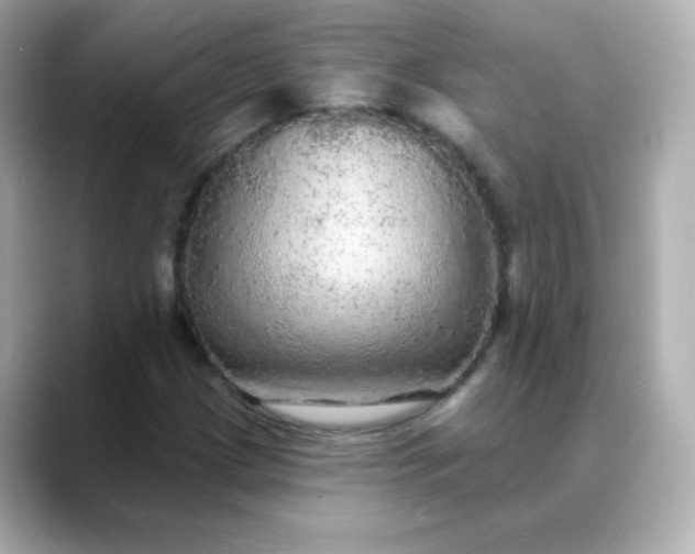 X0000088391209200706051111