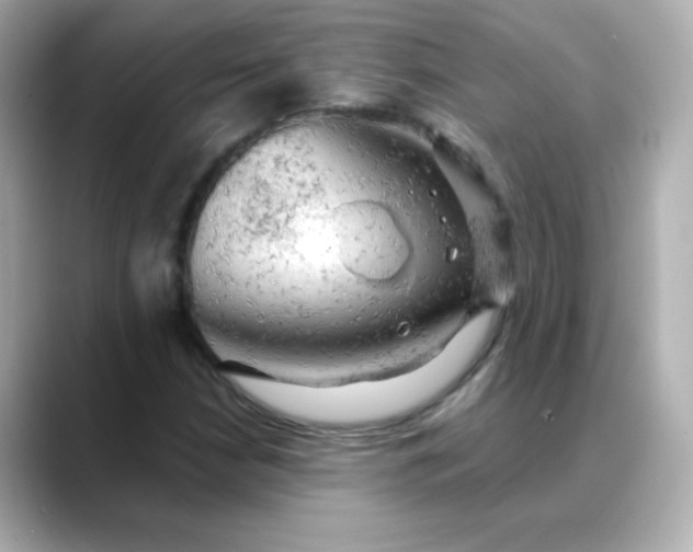 X0000088391210200706051111