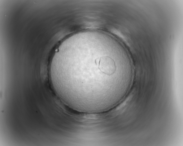 X0000088391211200706051111