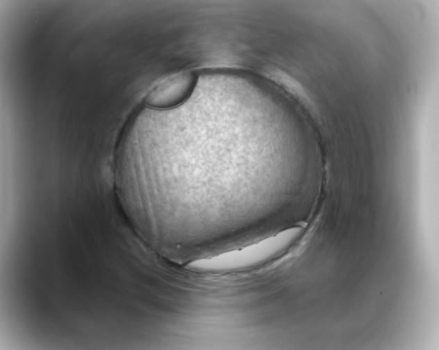 X0000088391212200706051111