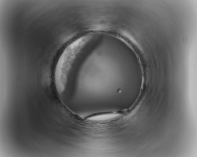 X0000088391213200706051111