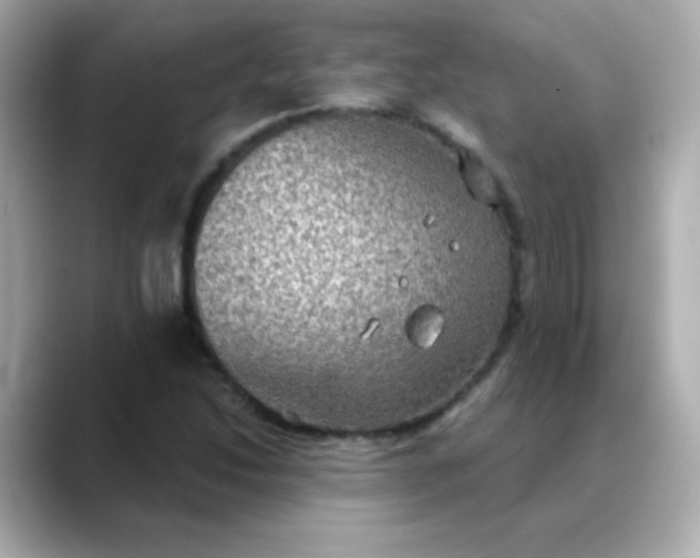 X0000088391214200706051111