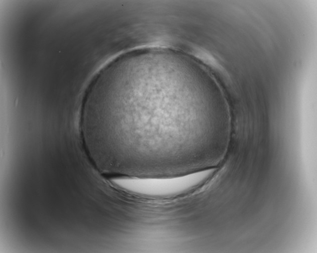 X0000088391216200706051111