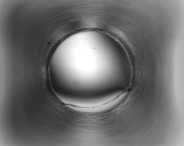 X0000088391218200706051111