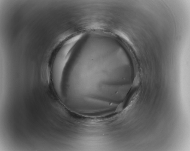 X0000088391219200706051111