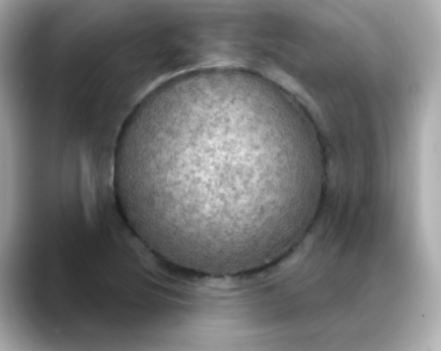 X0000088391220200706051111