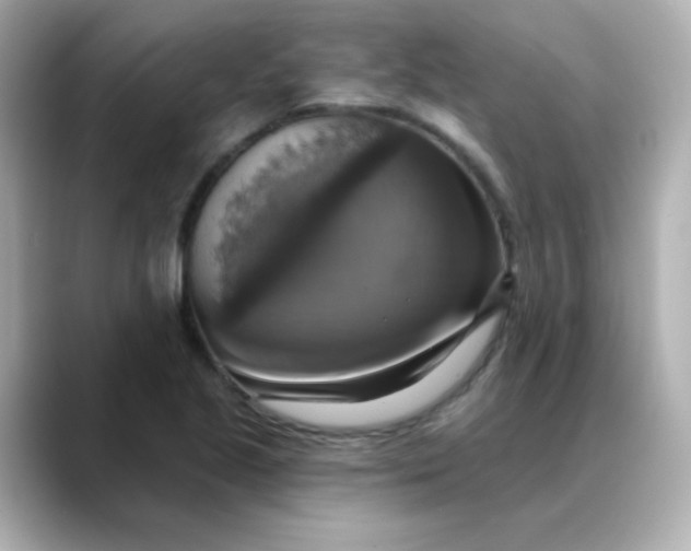 X0000088391221200706051111