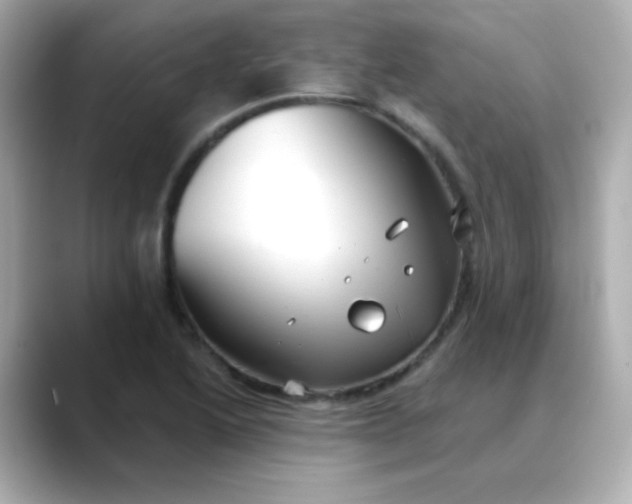 X0000088391222200706051111