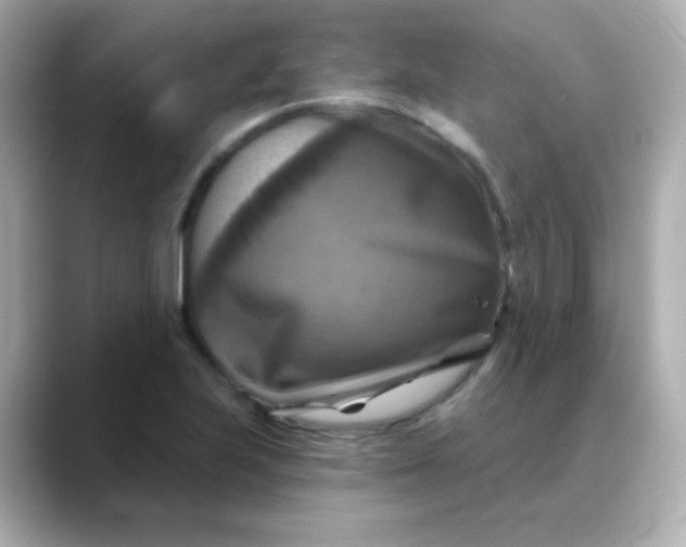 X0000088391223200706051111