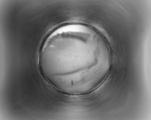 X0000088391224200706051111