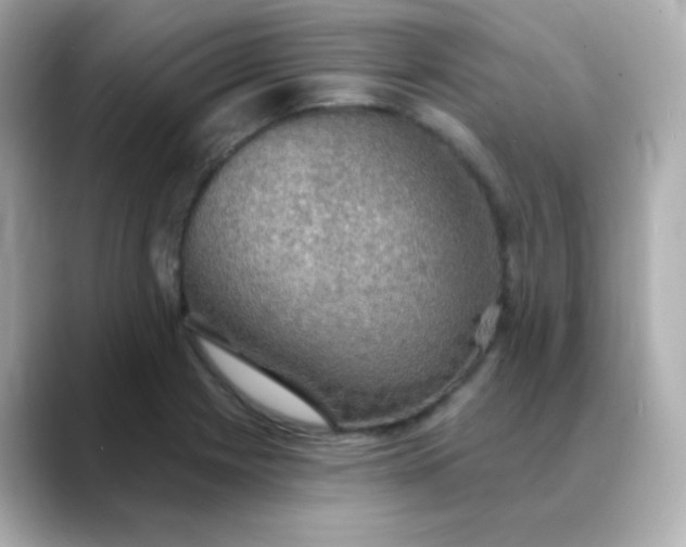 X0000088391225200706051111