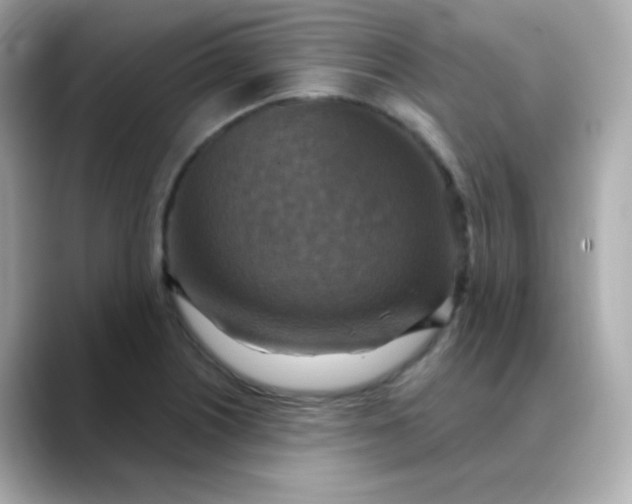 X0000088391226200706051111