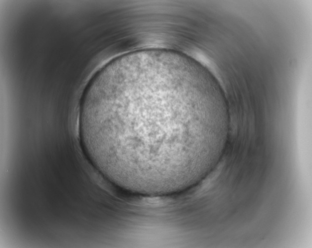 X0000088391227200706051111