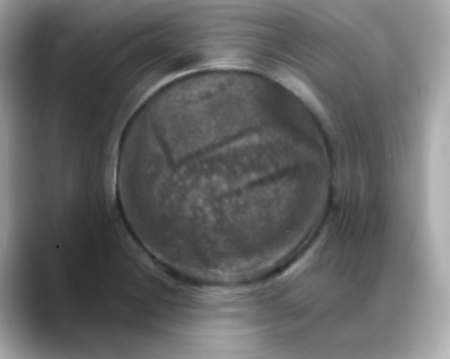 X0000088391228200706051111