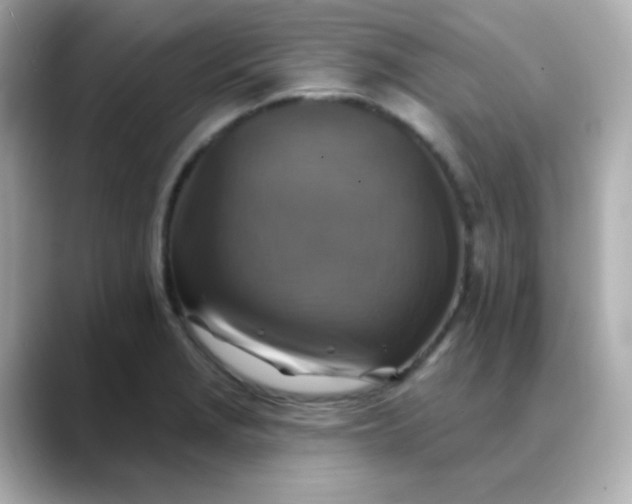 X0000088391229200706051111