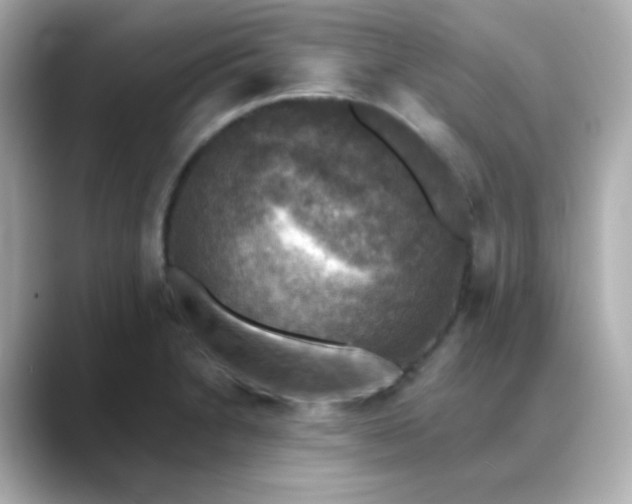 X0000088391230200706051111