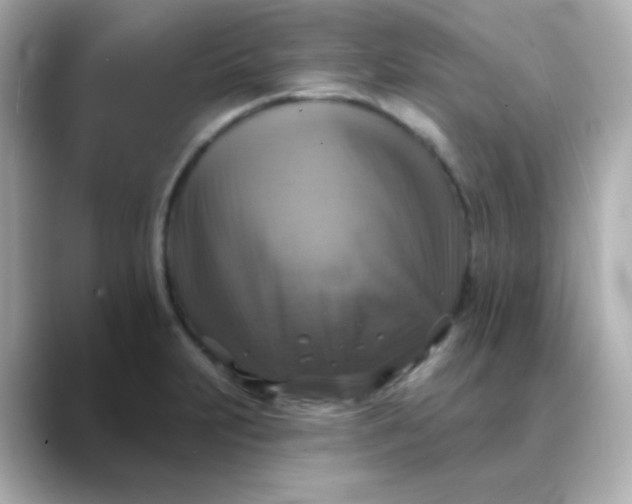 X0000088391231200706051111