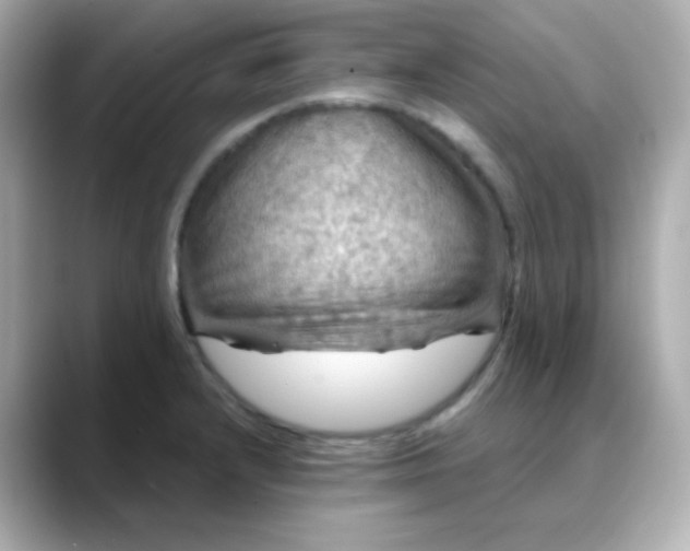 X0000088391232200706051111