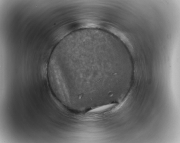 X0000088391233200706051112