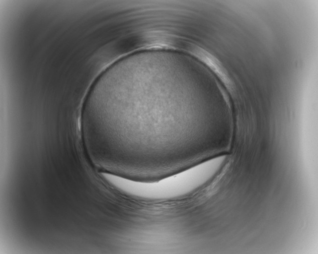 X0000088391234200706051112