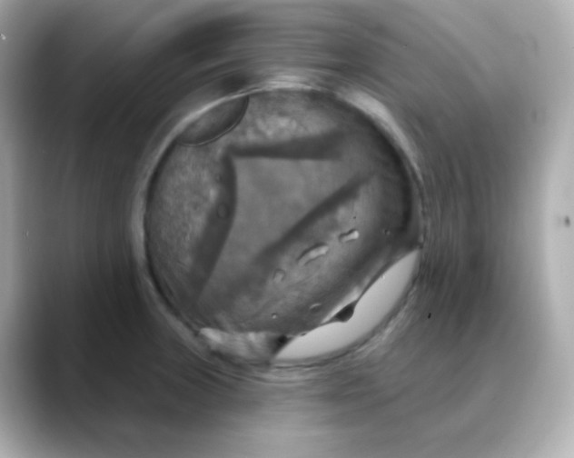 X0000088391235200706051112