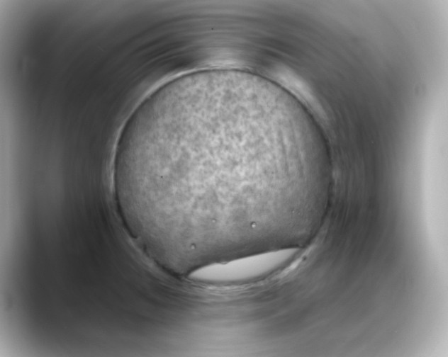 X0000088391236200706051112