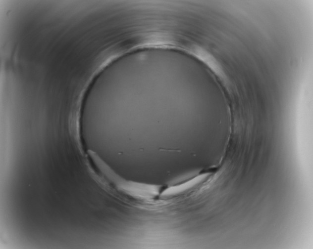 X0000088391237200706051112