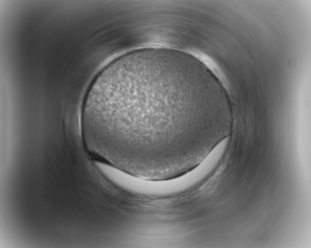 X0000088391238200706051112