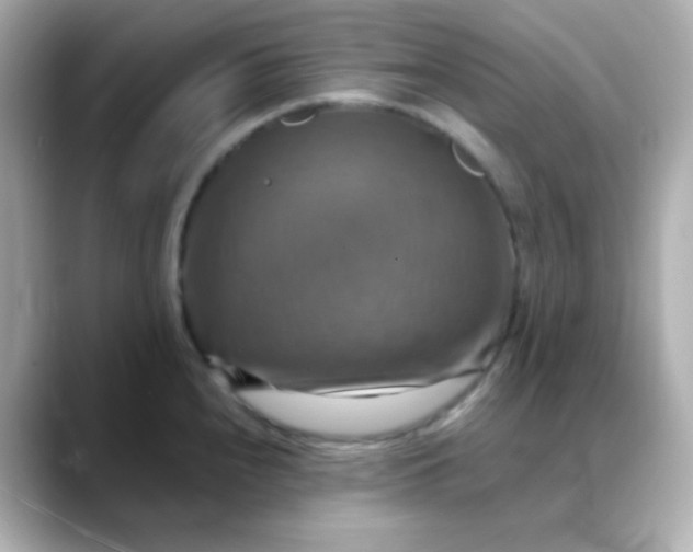 X0000088391240200706051112