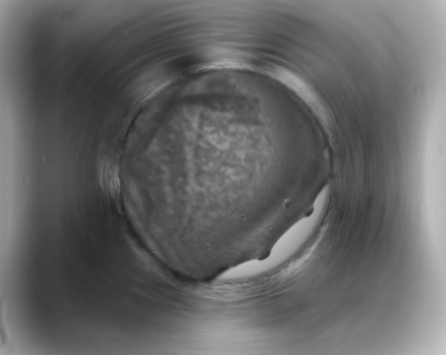 X0000088391241200706051112