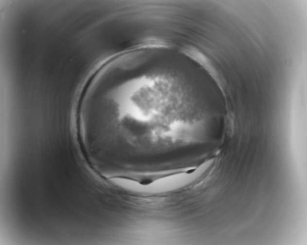 X0000088391243200706051112