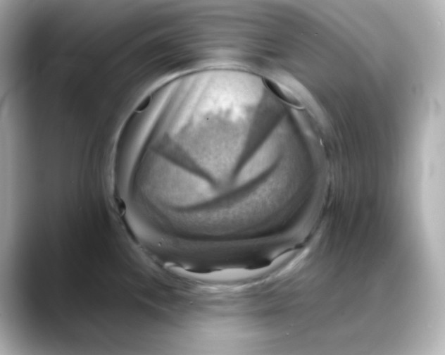 X0000088391244200706051112