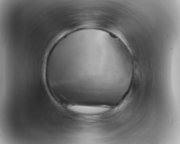 X0000088391245200706051112