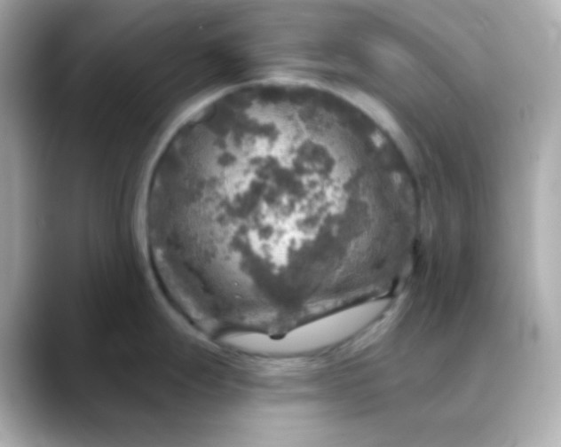 X0000088391247200706051112