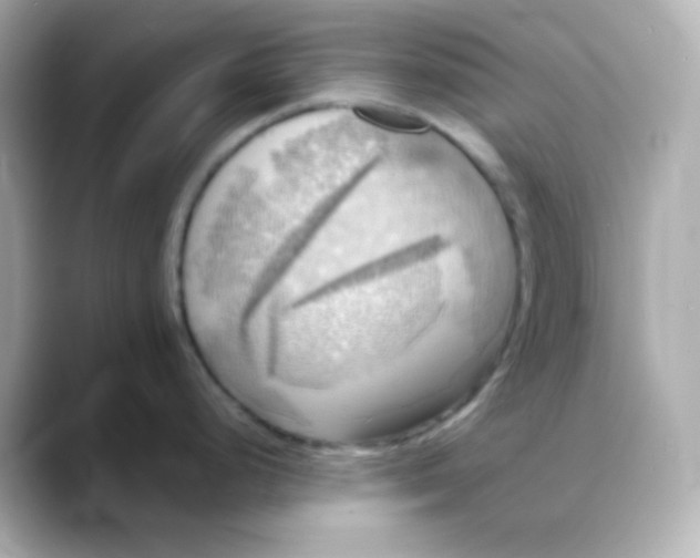 X0000088391248200706051112