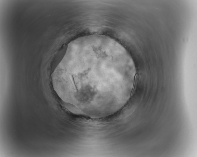 X0000088391249200706051111