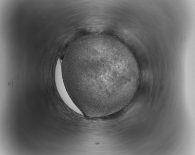 X0000088391250200706051111