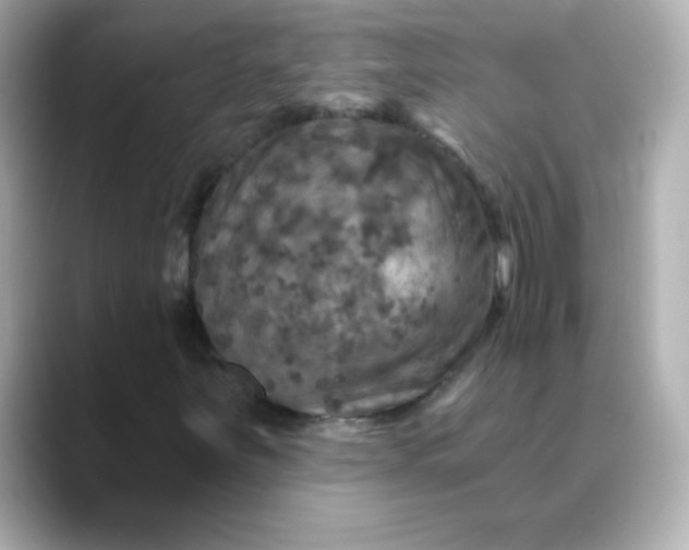 X0000088391251200706051111