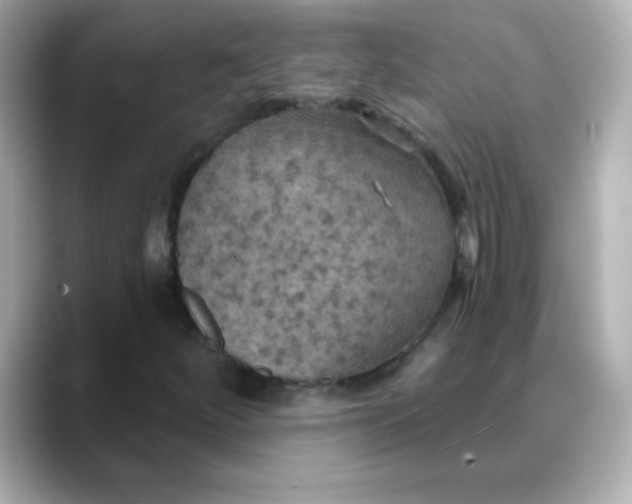 X0000088391252200706051111