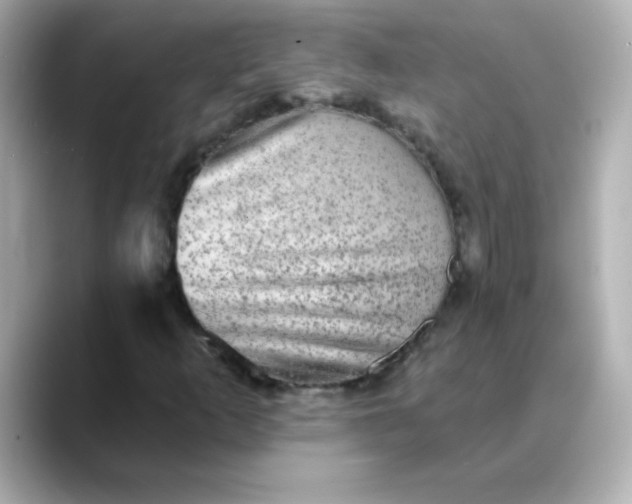 X0000088391253200706051111