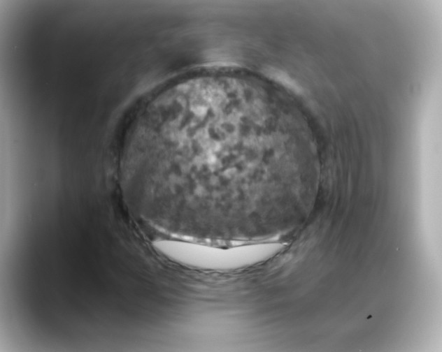 X0000088391255200706051111