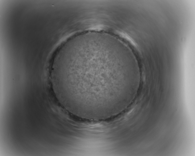 X0000088391256200706051111